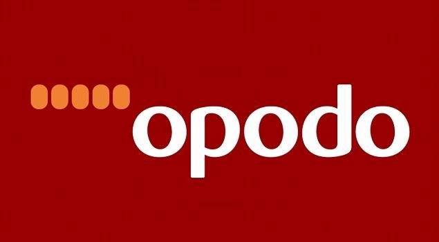 partner-logo